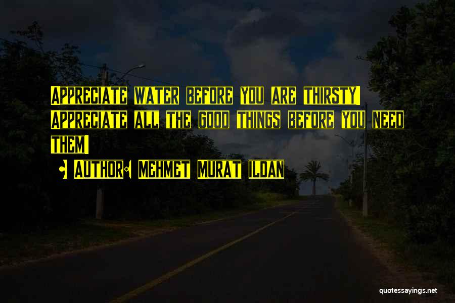 Mehmet Murat Ildan Quotes: Appreciate Water Before You Are Thirsty! Appreciate All The Good Things Before You Need Them!