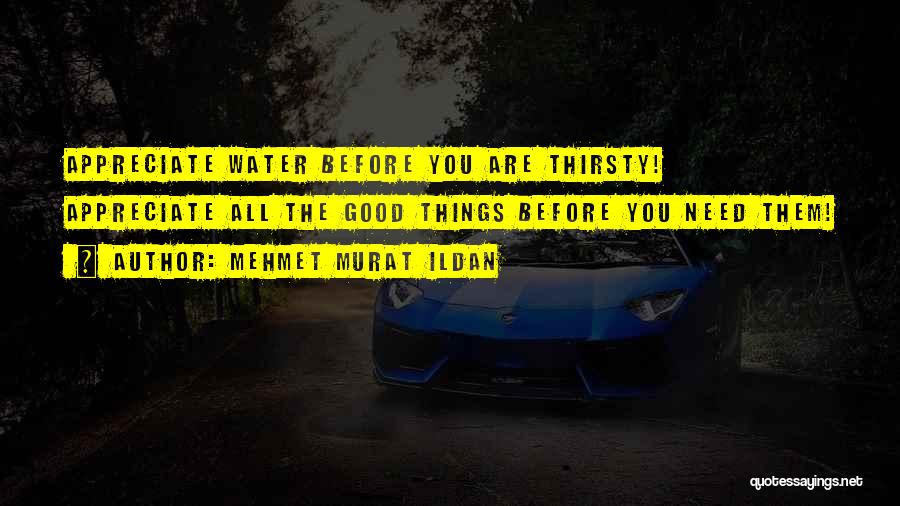 Mehmet Murat Ildan Quotes: Appreciate Water Before You Are Thirsty! Appreciate All The Good Things Before You Need Them!