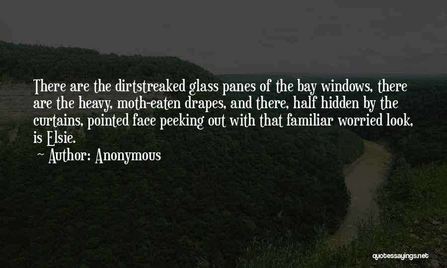 Anonymous Quotes: There Are The Dirtstreaked Glass Panes Of The Bay Windows, There Are The Heavy, Moth-eaten Drapes, And There, Half Hidden