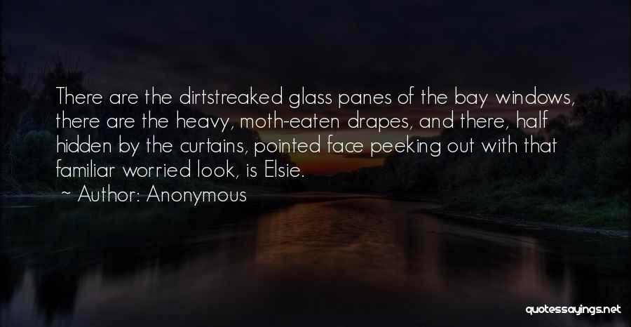 Anonymous Quotes: There Are The Dirtstreaked Glass Panes Of The Bay Windows, There Are The Heavy, Moth-eaten Drapes, And There, Half Hidden