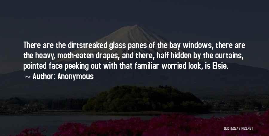 Anonymous Quotes: There Are The Dirtstreaked Glass Panes Of The Bay Windows, There Are The Heavy, Moth-eaten Drapes, And There, Half Hidden