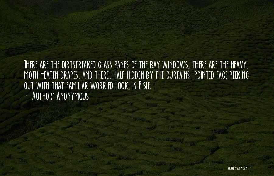 Anonymous Quotes: There Are The Dirtstreaked Glass Panes Of The Bay Windows, There Are The Heavy, Moth-eaten Drapes, And There, Half Hidden