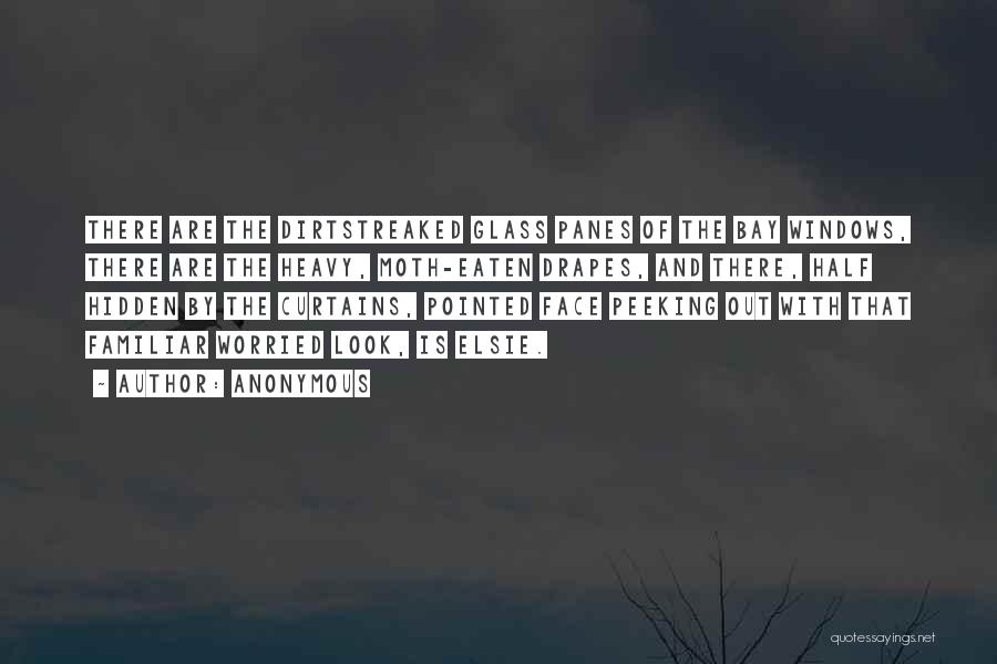 Anonymous Quotes: There Are The Dirtstreaked Glass Panes Of The Bay Windows, There Are The Heavy, Moth-eaten Drapes, And There, Half Hidden