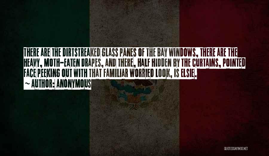 Anonymous Quotes: There Are The Dirtstreaked Glass Panes Of The Bay Windows, There Are The Heavy, Moth-eaten Drapes, And There, Half Hidden