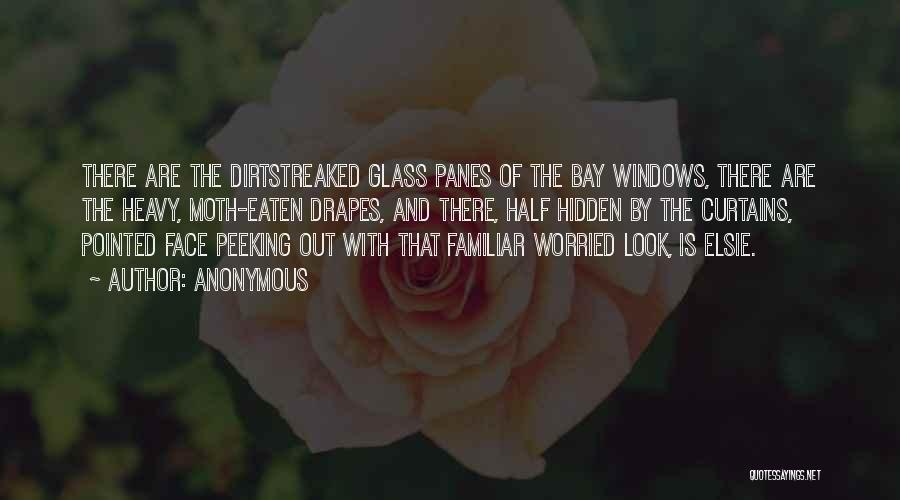 Anonymous Quotes: There Are The Dirtstreaked Glass Panes Of The Bay Windows, There Are The Heavy, Moth-eaten Drapes, And There, Half Hidden