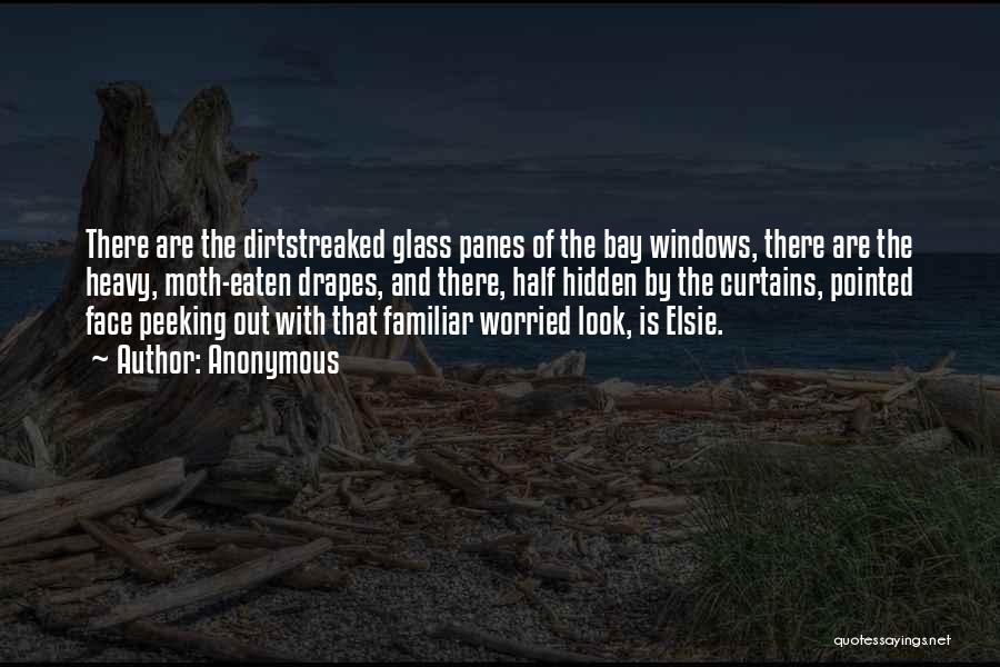 Anonymous Quotes: There Are The Dirtstreaked Glass Panes Of The Bay Windows, There Are The Heavy, Moth-eaten Drapes, And There, Half Hidden