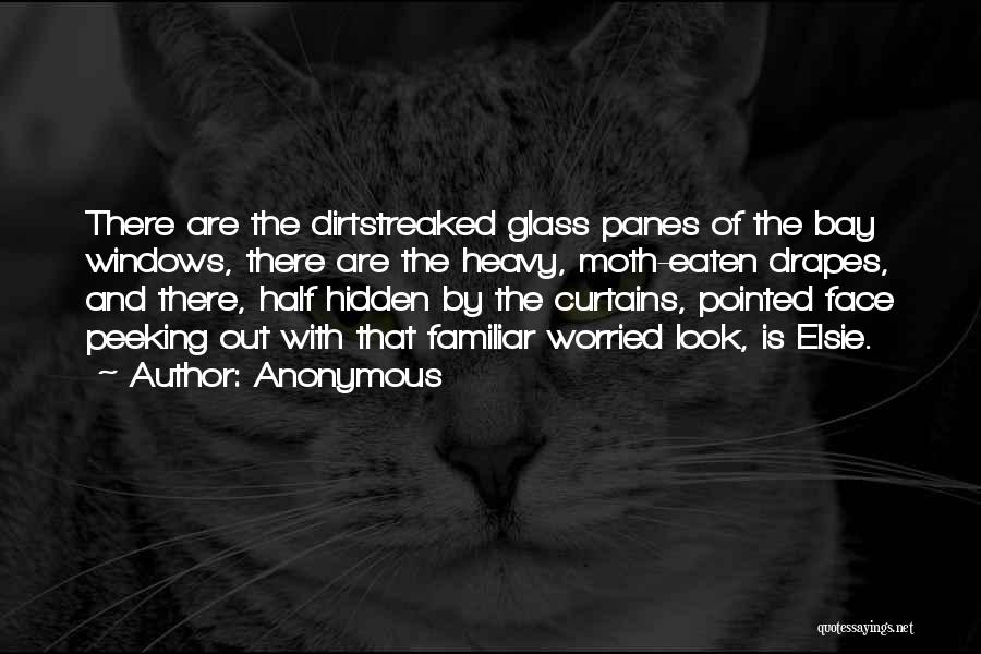 Anonymous Quotes: There Are The Dirtstreaked Glass Panes Of The Bay Windows, There Are The Heavy, Moth-eaten Drapes, And There, Half Hidden