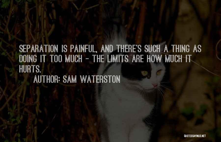 Sam Waterston Quotes: Separation Is Painful, And There's Such A Thing As Doing It Too Much - The Limits Are How Much It