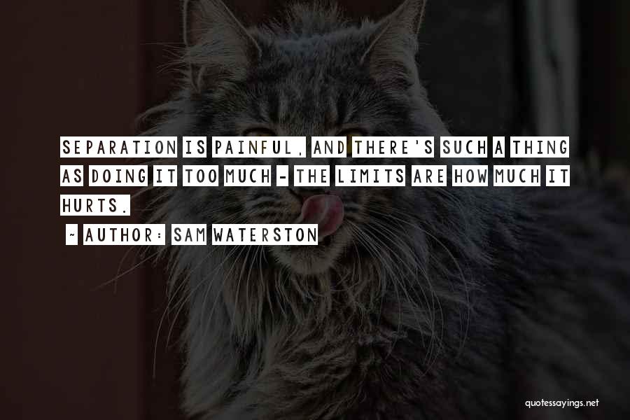 Sam Waterston Quotes: Separation Is Painful, And There's Such A Thing As Doing It Too Much - The Limits Are How Much It