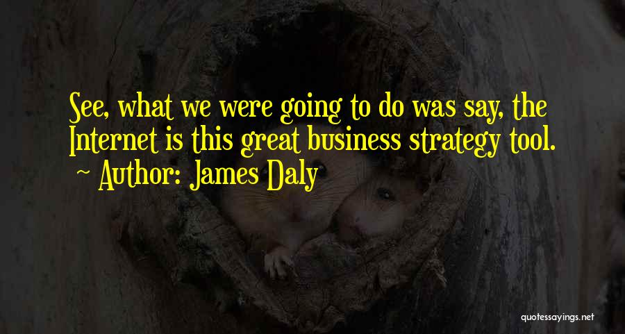 James Daly Quotes: See, What We Were Going To Do Was Say, The Internet Is This Great Business Strategy Tool.