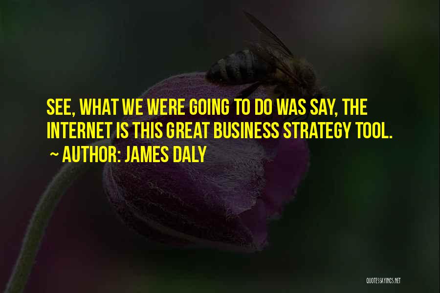 James Daly Quotes: See, What We Were Going To Do Was Say, The Internet Is This Great Business Strategy Tool.