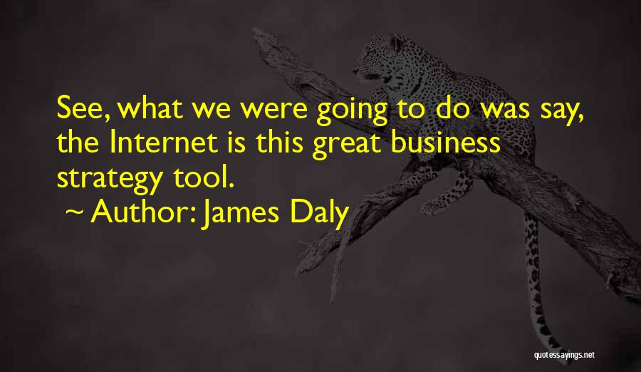 James Daly Quotes: See, What We Were Going To Do Was Say, The Internet Is This Great Business Strategy Tool.