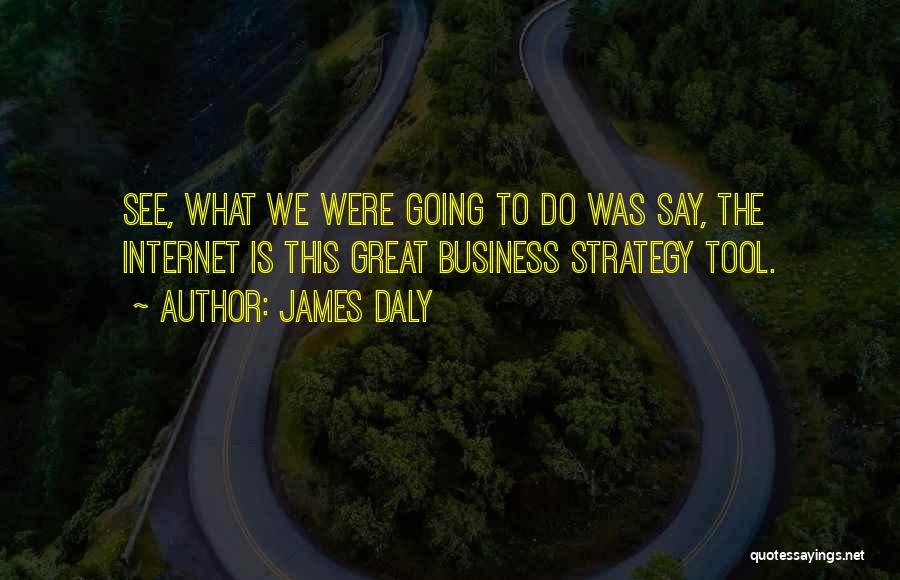 James Daly Quotes: See, What We Were Going To Do Was Say, The Internet Is This Great Business Strategy Tool.