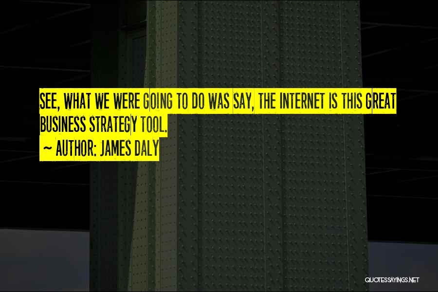 James Daly Quotes: See, What We Were Going To Do Was Say, The Internet Is This Great Business Strategy Tool.