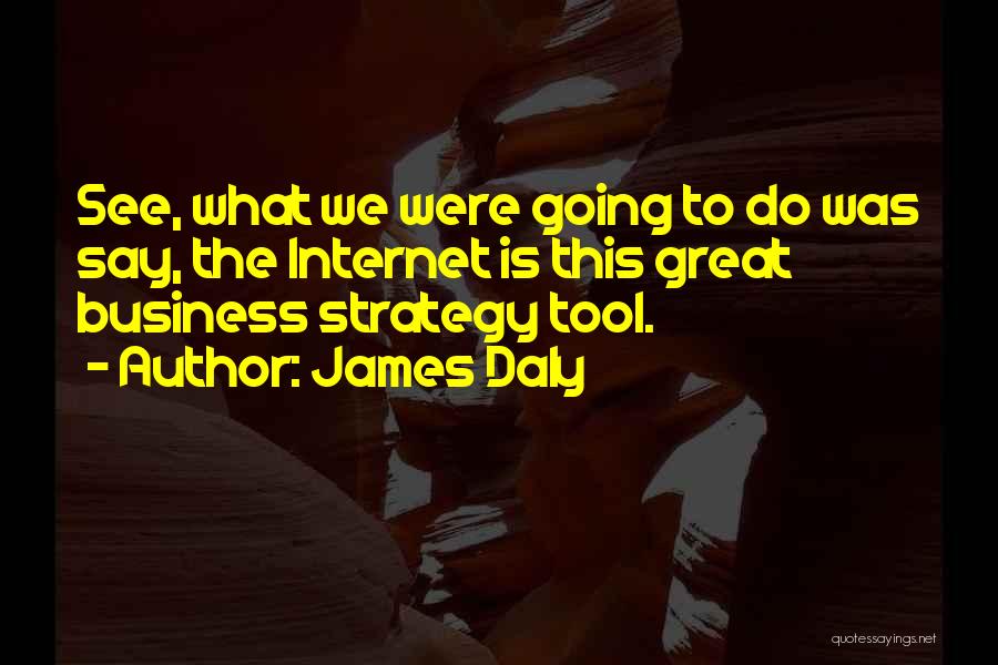 James Daly Quotes: See, What We Were Going To Do Was Say, The Internet Is This Great Business Strategy Tool.