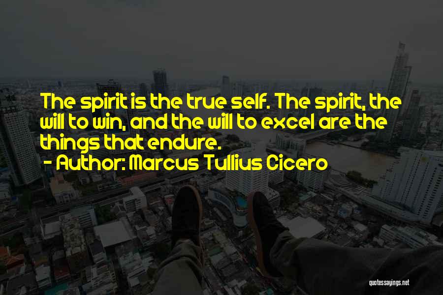 Marcus Tullius Cicero Quotes: The Spirit Is The True Self. The Spirit, The Will To Win, And The Will To Excel Are The Things