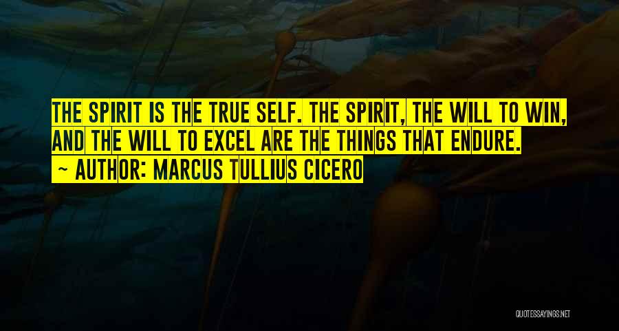 Marcus Tullius Cicero Quotes: The Spirit Is The True Self. The Spirit, The Will To Win, And The Will To Excel Are The Things