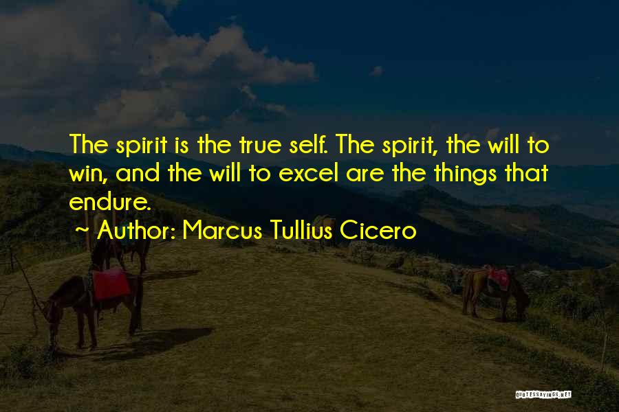 Marcus Tullius Cicero Quotes: The Spirit Is The True Self. The Spirit, The Will To Win, And The Will To Excel Are The Things