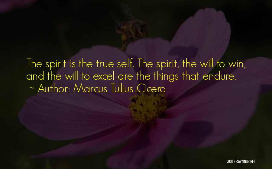 Marcus Tullius Cicero Quotes: The Spirit Is The True Self. The Spirit, The Will To Win, And The Will To Excel Are The Things
