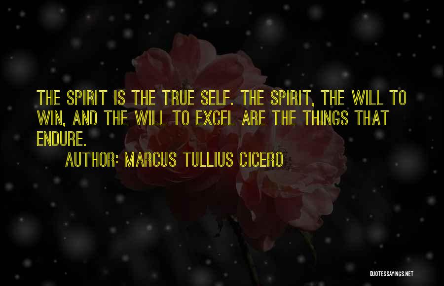 Marcus Tullius Cicero Quotes: The Spirit Is The True Self. The Spirit, The Will To Win, And The Will To Excel Are The Things