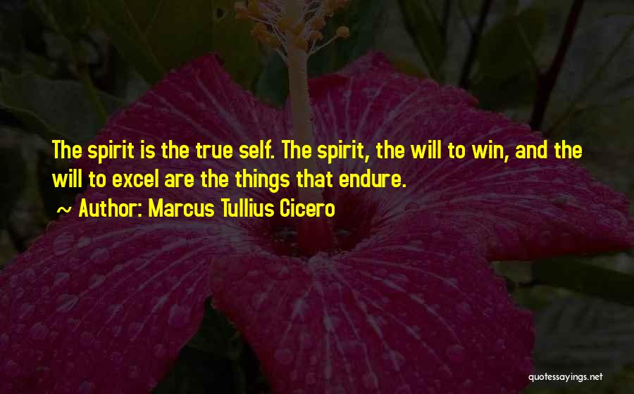 Marcus Tullius Cicero Quotes: The Spirit Is The True Self. The Spirit, The Will To Win, And The Will To Excel Are The Things