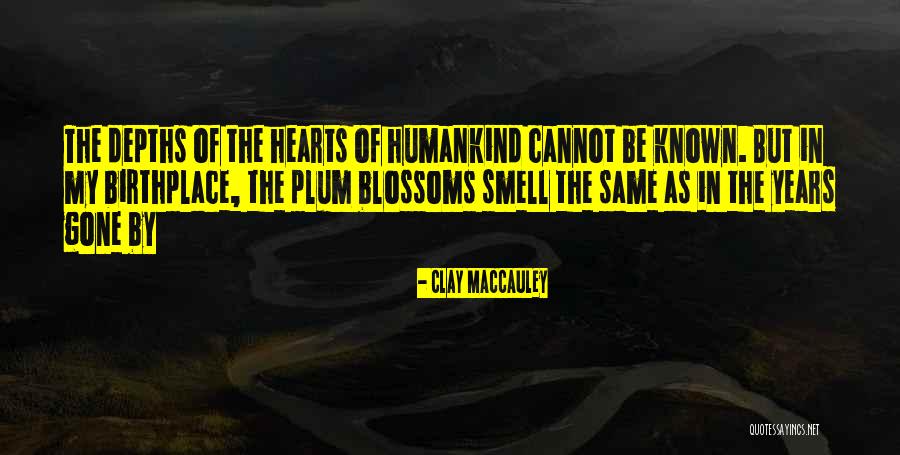 39 Clues In Too Deep Quotes By Clay MacCauley 39 Clues In Too Deep Quotes By Clay MacCauley