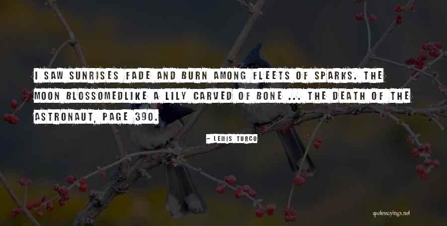 390 Quotes By Lewis Turco 390 Quotes By Lewis Turco