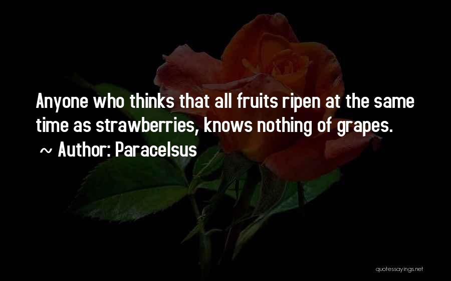 Paracelsus Quotes: Anyone Who Thinks That All Fruits Ripen At The Same Time As Strawberries, Knows Nothing Of Grapes.