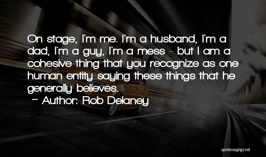 Rob Delaney Quotes: On Stage, I'm Me. I'm A Husband, I'm A Dad, I'm A Guy, I'm A Mess - But I Am