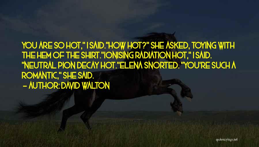 David Walton Quotes: You Are So Hot, I Said.how Hot? She Asked, Toying With The Hem Of The Shirt.ionising Radiation Hot, I Said.