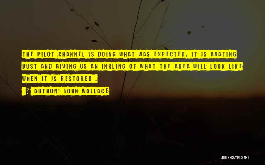 John Wallace Quotes: The Pilot Channel Is Doing What Was Expected. It Is Abating Dust And Giving Us An Inkling Of What The