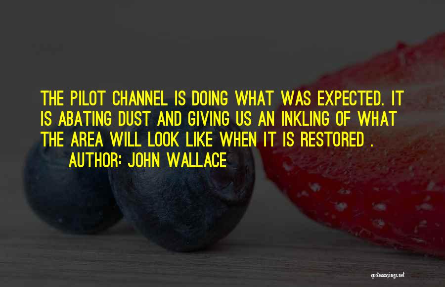 John Wallace Quotes: The Pilot Channel Is Doing What Was Expected. It Is Abating Dust And Giving Us An Inkling Of What The