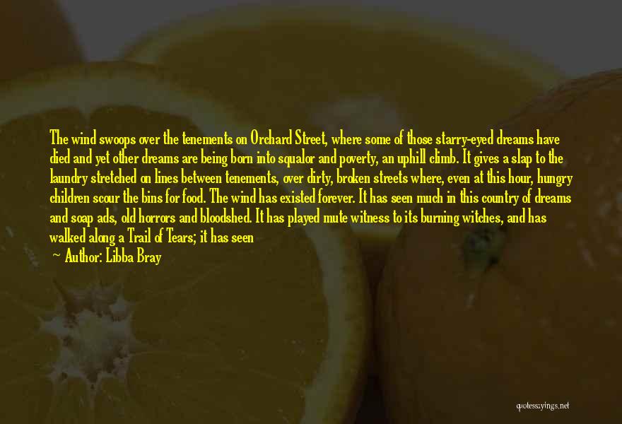 Libba Bray Quotes: The Wind Swoops Over The Tenements On Orchard Street, Where Some Of Those Starry-eyed Dreams Have Died And Yet Other