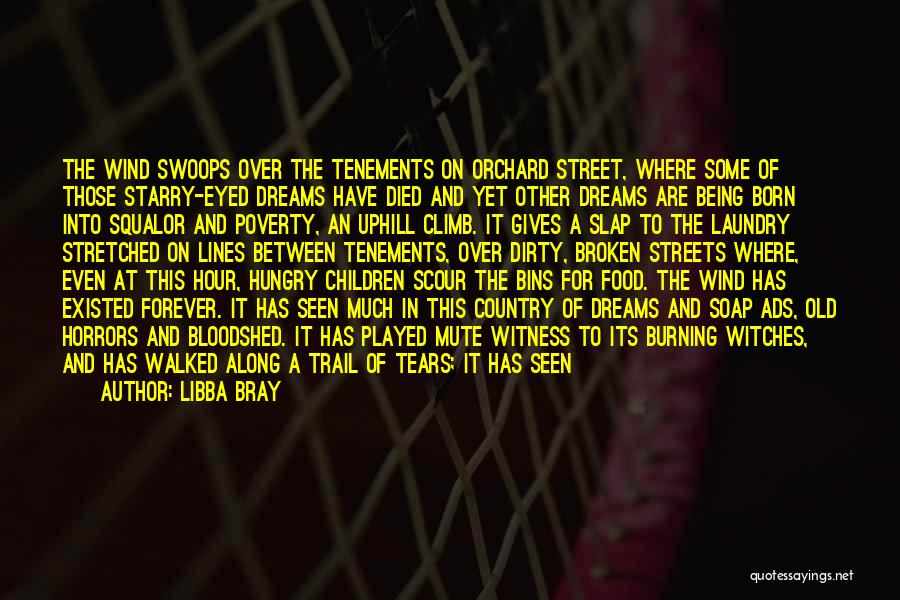 Libba Bray Quotes: The Wind Swoops Over The Tenements On Orchard Street, Where Some Of Those Starry-eyed Dreams Have Died And Yet Other