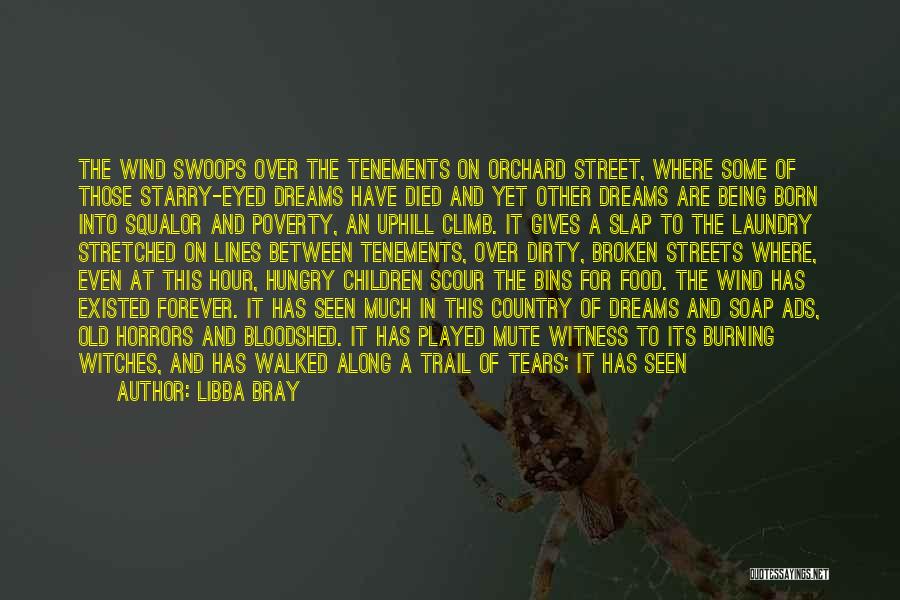 Libba Bray Quotes: The Wind Swoops Over The Tenements On Orchard Street, Where Some Of Those Starry-eyed Dreams Have Died And Yet Other