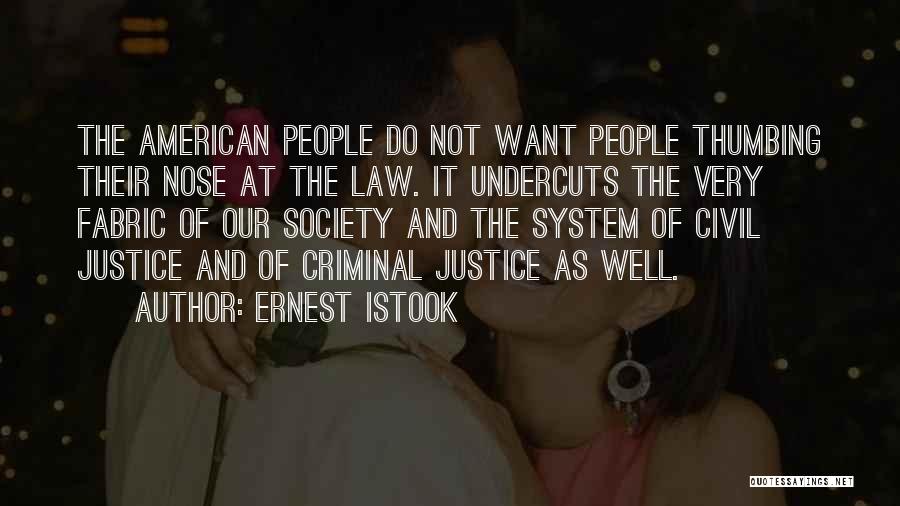 Ernest Istook Quotes: The American People Do Not Want People Thumbing Their Nose At The Law. It Undercuts The Very Fabric Of Our