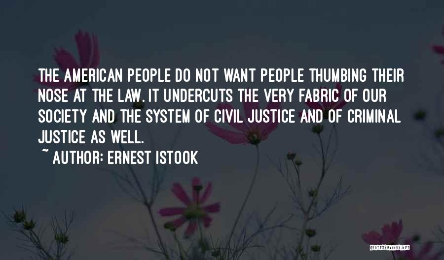 Ernest Istook Quotes: The American People Do Not Want People Thumbing Their Nose At The Law. It Undercuts The Very Fabric Of Our