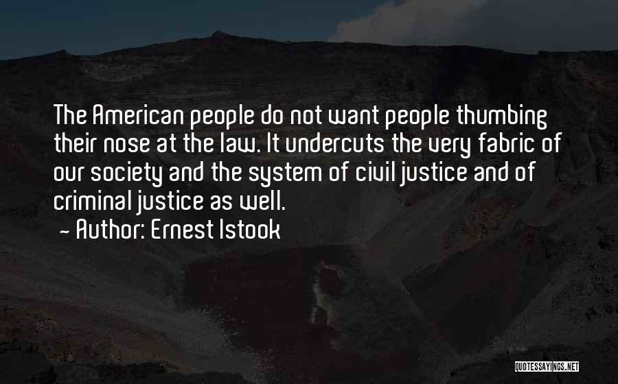 Ernest Istook Quotes: The American People Do Not Want People Thumbing Their Nose At The Law. It Undercuts The Very Fabric Of Our