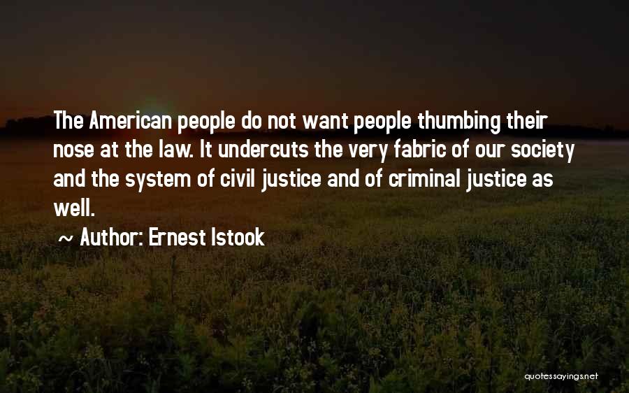 Ernest Istook Quotes: The American People Do Not Want People Thumbing Their Nose At The Law. It Undercuts The Very Fabric Of Our