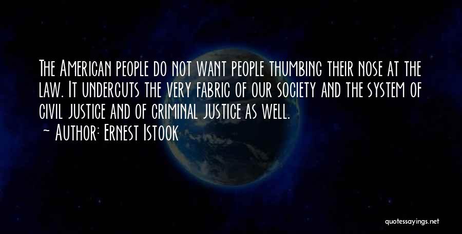 Ernest Istook Quotes: The American People Do Not Want People Thumbing Their Nose At The Law. It Undercuts The Very Fabric Of Our