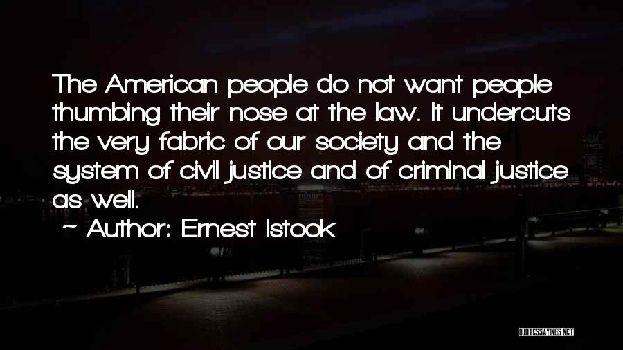 Ernest Istook Quotes: The American People Do Not Want People Thumbing Their Nose At The Law. It Undercuts The Very Fabric Of Our