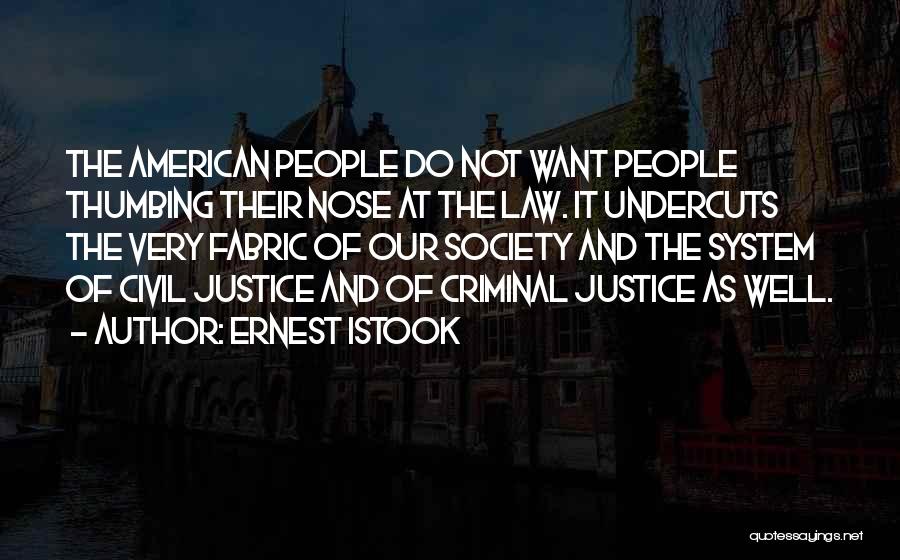 Ernest Istook Quotes: The American People Do Not Want People Thumbing Their Nose At The Law. It Undercuts The Very Fabric Of Our