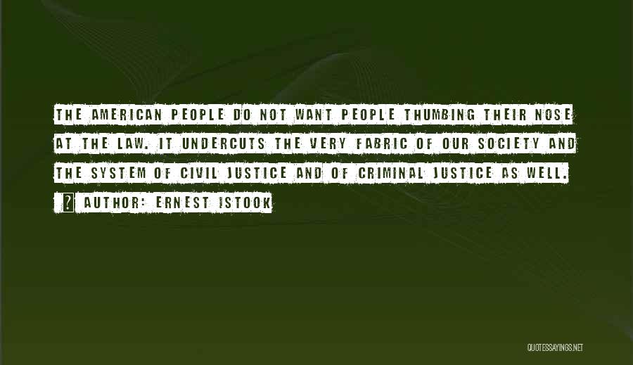 Ernest Istook Quotes: The American People Do Not Want People Thumbing Their Nose At The Law. It Undercuts The Very Fabric Of Our