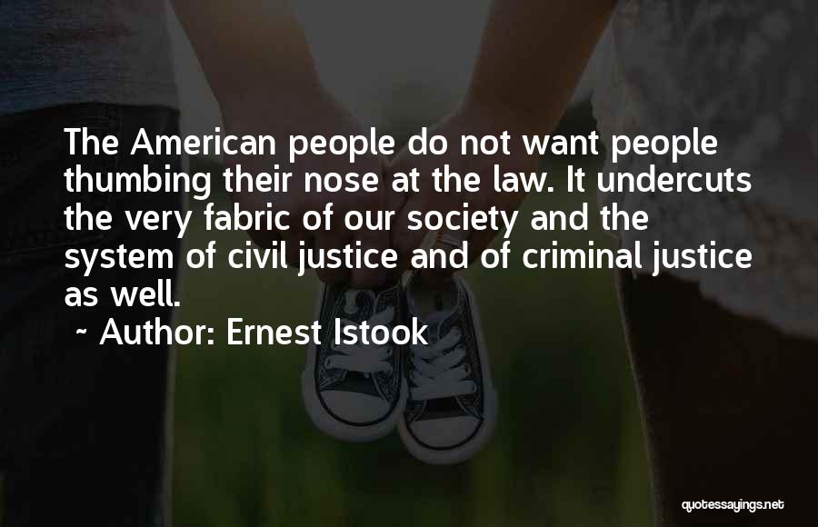 Ernest Istook Quotes: The American People Do Not Want People Thumbing Their Nose At The Law. It Undercuts The Very Fabric Of Our