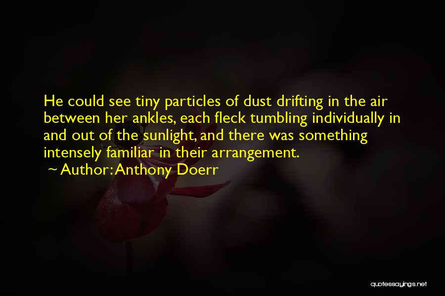 Anthony Doerr Quotes: He Could See Tiny Particles Of Dust Drifting In The Air Between Her Ankles, Each Fleck Tumbling Individually In And