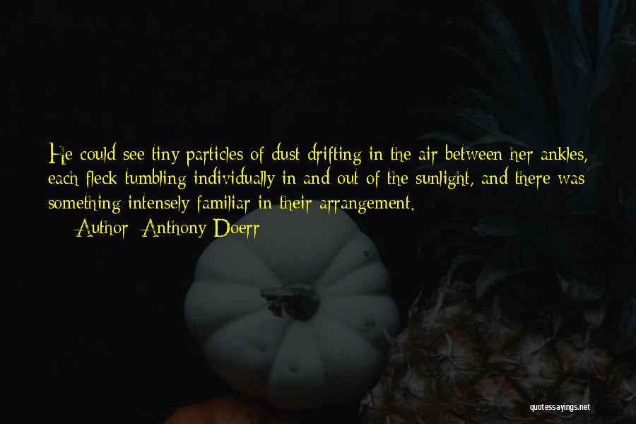 Anthony Doerr Quotes: He Could See Tiny Particles Of Dust Drifting In The Air Between Her Ankles, Each Fleck Tumbling Individually In And
