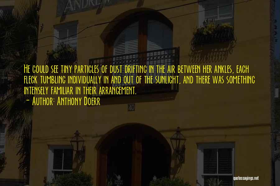 Anthony Doerr Quotes: He Could See Tiny Particles Of Dust Drifting In The Air Between Her Ankles, Each Fleck Tumbling Individually In And