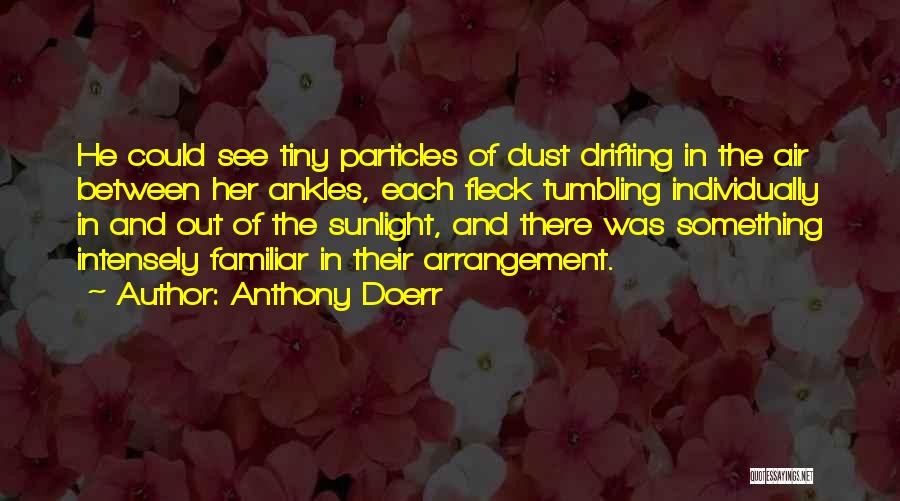 Anthony Doerr Quotes: He Could See Tiny Particles Of Dust Drifting In The Air Between Her Ankles, Each Fleck Tumbling Individually In And