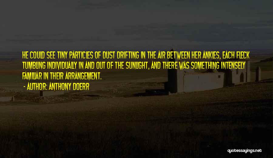 Anthony Doerr Quotes: He Could See Tiny Particles Of Dust Drifting In The Air Between Her Ankles, Each Fleck Tumbling Individually In And