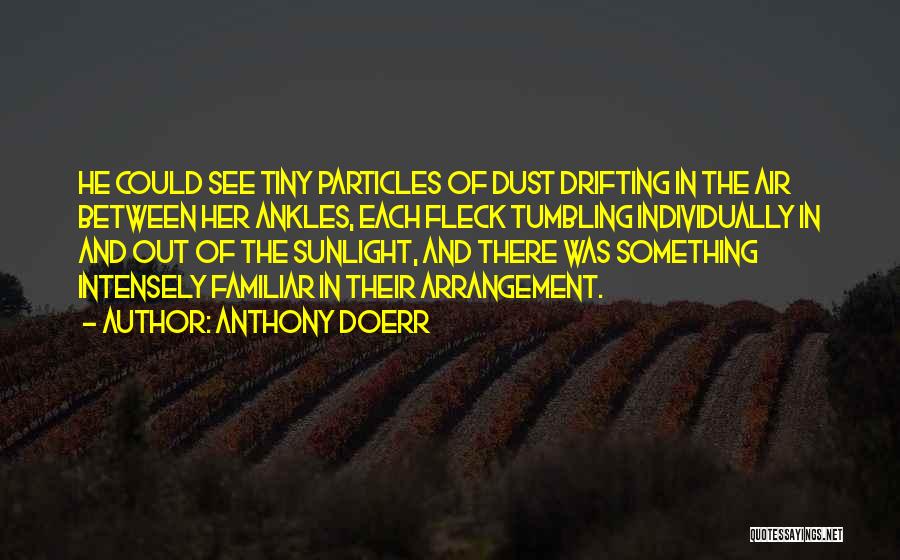 Anthony Doerr Quotes: He Could See Tiny Particles Of Dust Drifting In The Air Between Her Ankles, Each Fleck Tumbling Individually In And